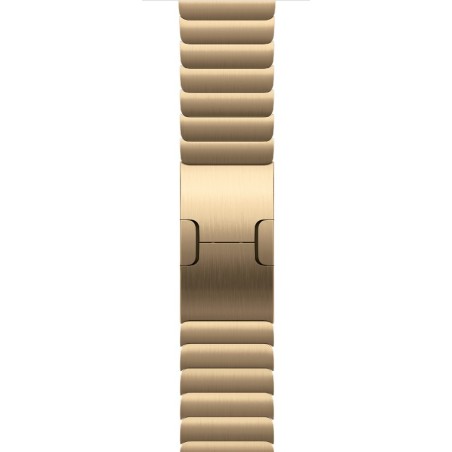 Watch Acc/46/Radiant Gold Link Bracelet