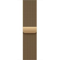 Watch Acc/40/Radiant Gold Milanese Loop