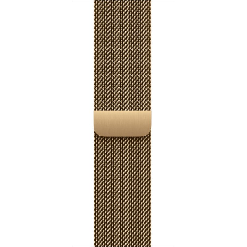 Watch Acc/40/Radiant Gold Milanese Loop