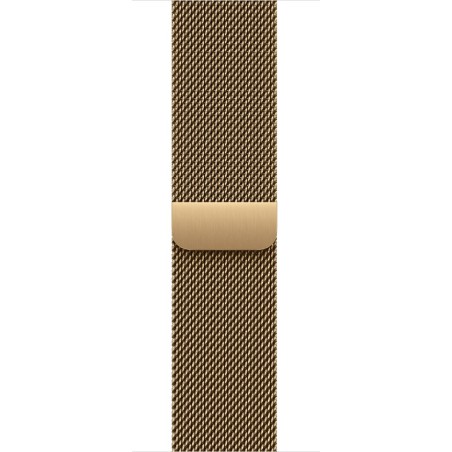 Watch Acc/40/Radiant Gold Milanese Loop