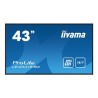43" iiyama LE4341S-B2: IPS,FHD,3xHDMI,LAN,USB