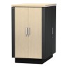 Rack APC NetShelter CX 24U Secure Soundproof Server Room in a Box Enclosure