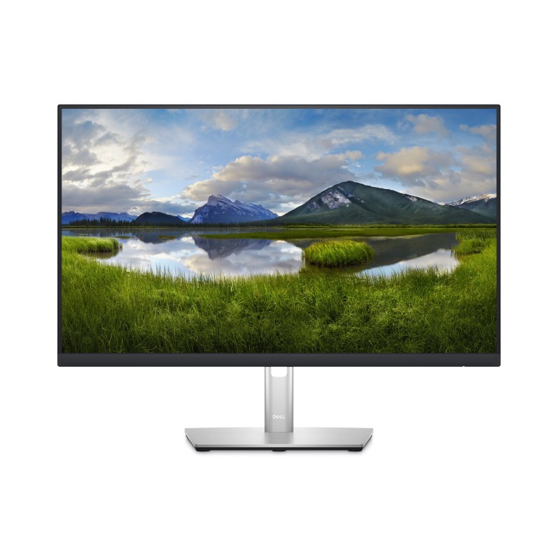 Dell 24 Monitor - P2423D - 60.5cm (23.8")