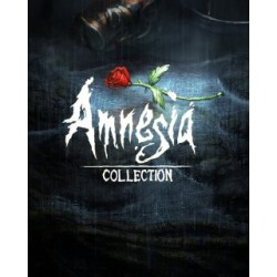 Amnesia Collection – hra pro PC (elektronická licence)