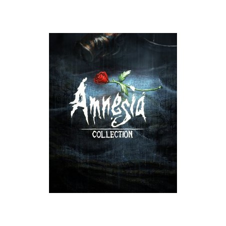 Amnesia Collection – hra pro PC (elektronická licence)