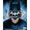 Batman Arkham VR – hra pro PC (elektronická licence)