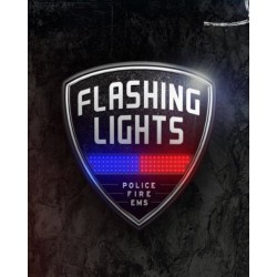 Flashing Lights Police Fire EMS – hra pro PC (elektronická licence)