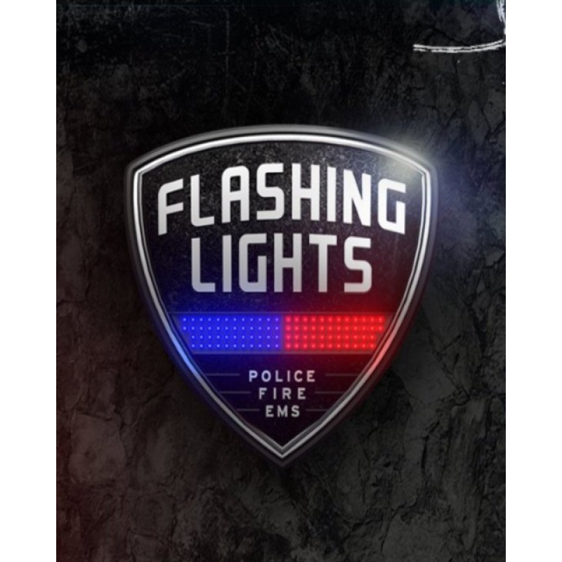 Flashing Lights Police Fire EMS – hra pro PC (elektronická licence)