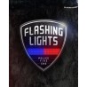 Flashing Lights Police Fire EMS – hra pro PC (elektronická licence)