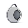 DEVIALET - Mania Light Grey + dock