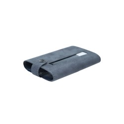 iFi xDSD Gryphon case