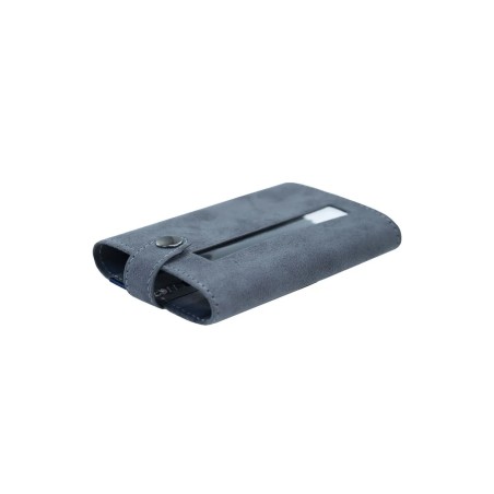 iFi xDSD Gryphon case