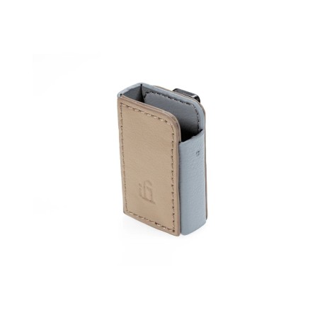 iFi Go Blu case