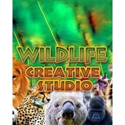 Wildlife Creative Studio – hra pro PC (elektronická licence)