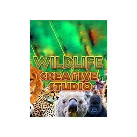 Wildlife Creative Studio – hra pro PC (elektronická licence)