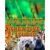 Wildlife Creative Studio – hra pro PC (elektronická licence)