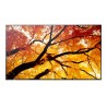 55" LED SHARP M552,3840x2160,IPS,24/7,500cd