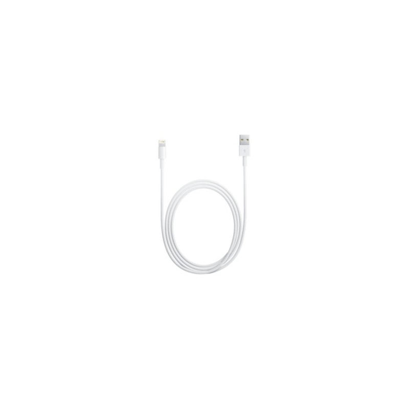 Lightning to USB Cable (1m)