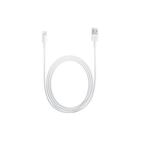 Lightning to USB Cable (1m)