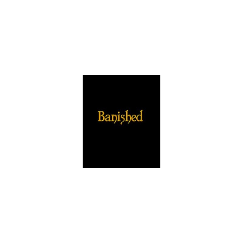Banished – hra pro PC (elektronická licence)