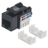 Intellinet Keystone Jack cat6 UTP black
