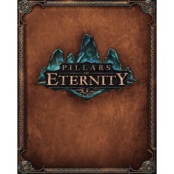 Pillars of Eternity – hra pro PC (elektronická licence)