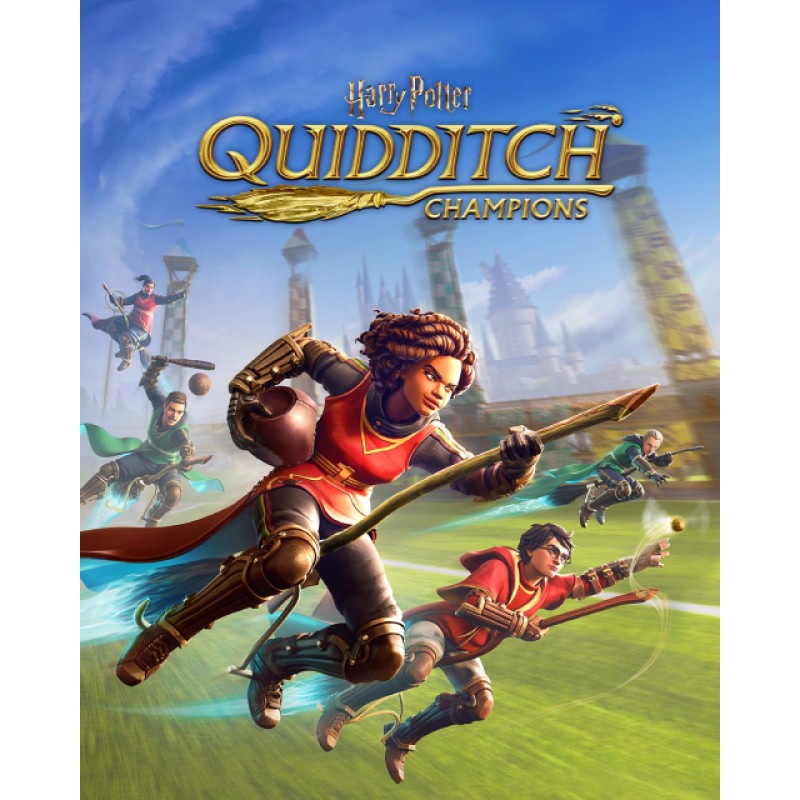ESD Harry Potter Quidditch Champions