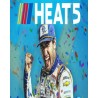 ESD NASCAR Heat 5