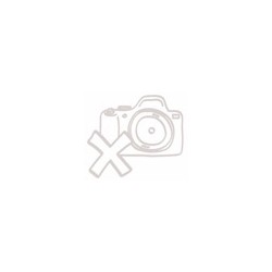 Hikvision 4MPix IP PTRZ Smart Hybrid ColorVu Dome kamera IR/LED 40m, Audio, Alarm, blikač, IK10