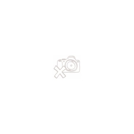 Hikvision 4MPix IP PTRZ Smart Hybrid ColorVu Dome kamera IR/LED 40m, Audio, Alarm, blikač, IK10