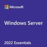 HPE MS WS22 10C Ess OEM CZ/ENG SW