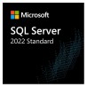 Elektronická licence: Microsoft CSP SQL Server Standard Edition 2022 1 Device CAL - trvalá licence