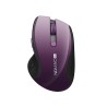 CANYON myš 2,4Ghz bezdrátová CMSW01, 1000/1200/1600 dpi, 6 tlačítek, blue LED senzor, fialová