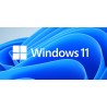 MS Windows 11 Professional 64-bit Czech 1pk OEM DVD