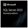 Elektronická licence: Microsoft CSP SQL Server Standard Edition 2025 1 User CAL - trvalá licence