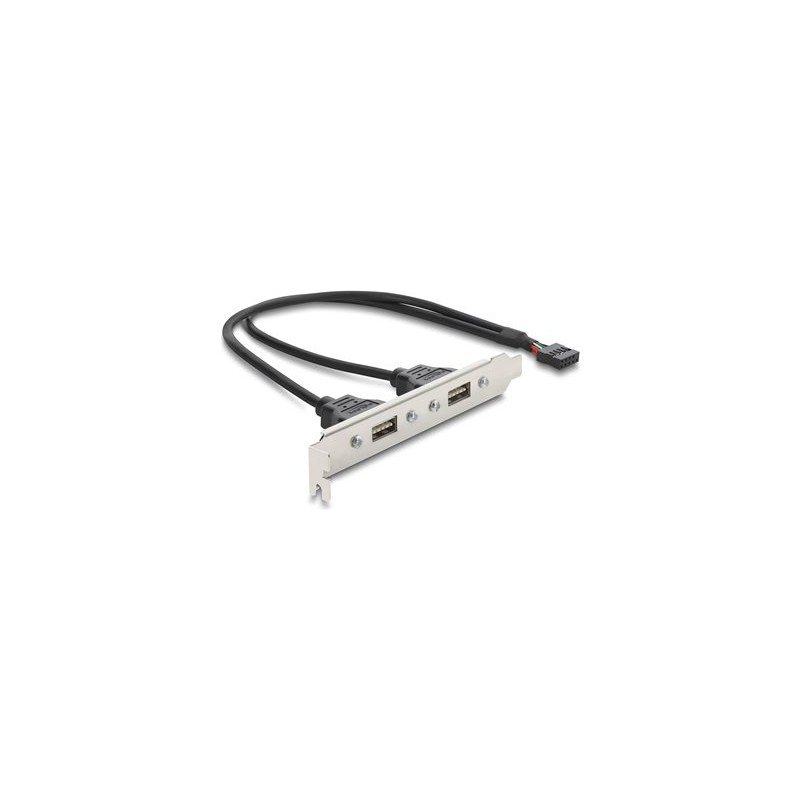 USB 2.0 Slot Bracket with 2 x EASY USB T
