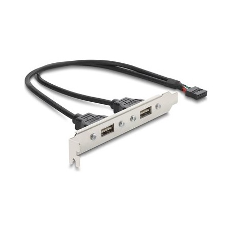 USB 2.0 Slot Bracket with 2 x EASY USB T