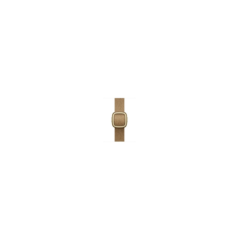 Watch Acc/42/Camel Modern Buckle- M