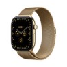 Apple Watch 12 46 RG TI R/Mil ML Cel-Fdn