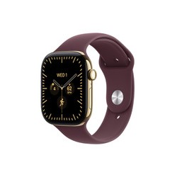Apple Watch 12 42 RG TI BR/SB SM Cel-Fdn