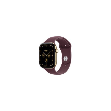 Apple Watch 12 42 RG TI BR/SB ML Cel-Fdn