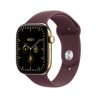 Apple Watch 12 42 RG TI BR/SB ML Cel-Fdn