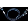 ARECA int. SlimlineSAS x8 SFF-8654 straight to 2x SlimlineSAS x4 SFF-8654, 1m