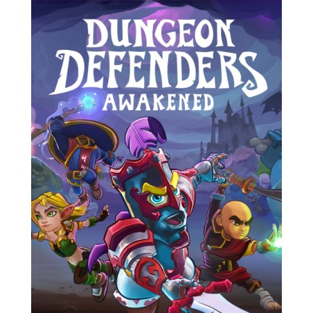 Dungeon Defenders Awakened – hra pro PC (elektronická licence)