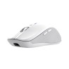 Trust Trsut Ferro Multi-Wireless Mouse WHT