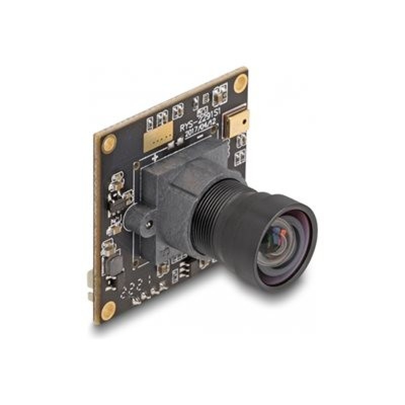 Delock - Bezpecnostní kamera - deska - barevný - 2,1 Mpix - 1920 x 1080 - 1080p - pevné ohnisko - audio - USB 2.0 - DC 5 V