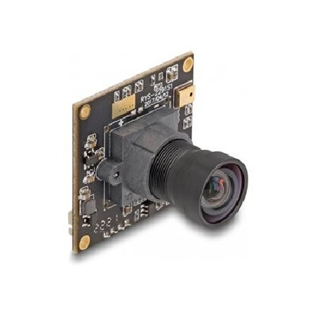 Delock - Bezpecnostní kamera - deska - barevný - 2,1 Mpix - 1920 x 1080 - 1080p - pevné ohnisko - audio - USB 2.0 - DC 5 V