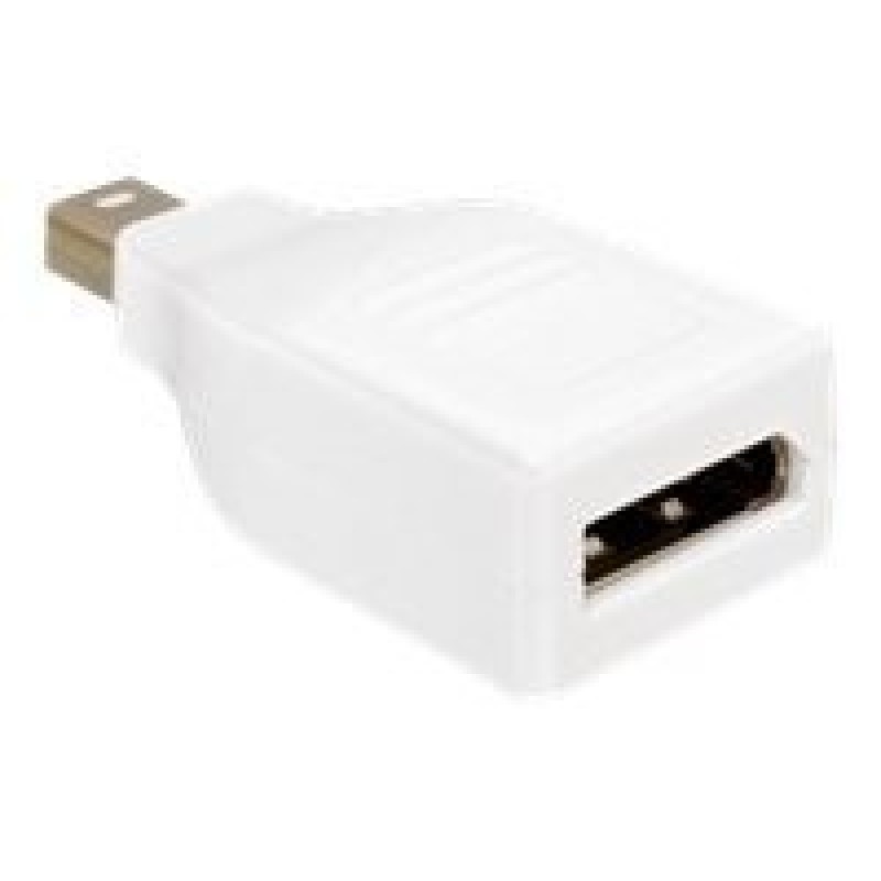 Delock - Adaptér DisplayPort - Mini DisplayPort (M) do DisplayPort (F) - bílá