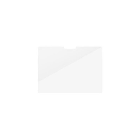 PanzerGlass - Ochrana obrazovky pro tablet - ultra široký tvar - sklo - pro Microsoft Surface Pro X, Pro X for Business, Pro 8