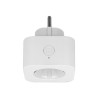Delock - Zásuvkový vypínač - bezdrátový - 802.11b/g/n - 2.4 Ghz - bílá